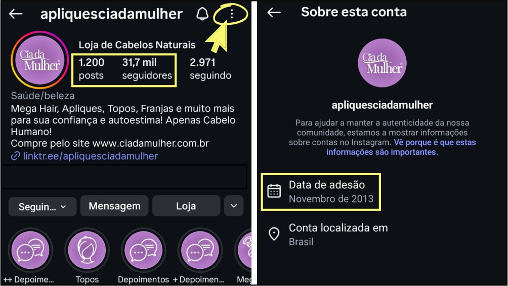 Captura de tela do perfil Instagram @apliquesciadamulher com 31.7K seguidores, mostrando a descrição sobre Mega Hair e extensões de cabelo natural da Cia da Mulher e data de criação em 2013.